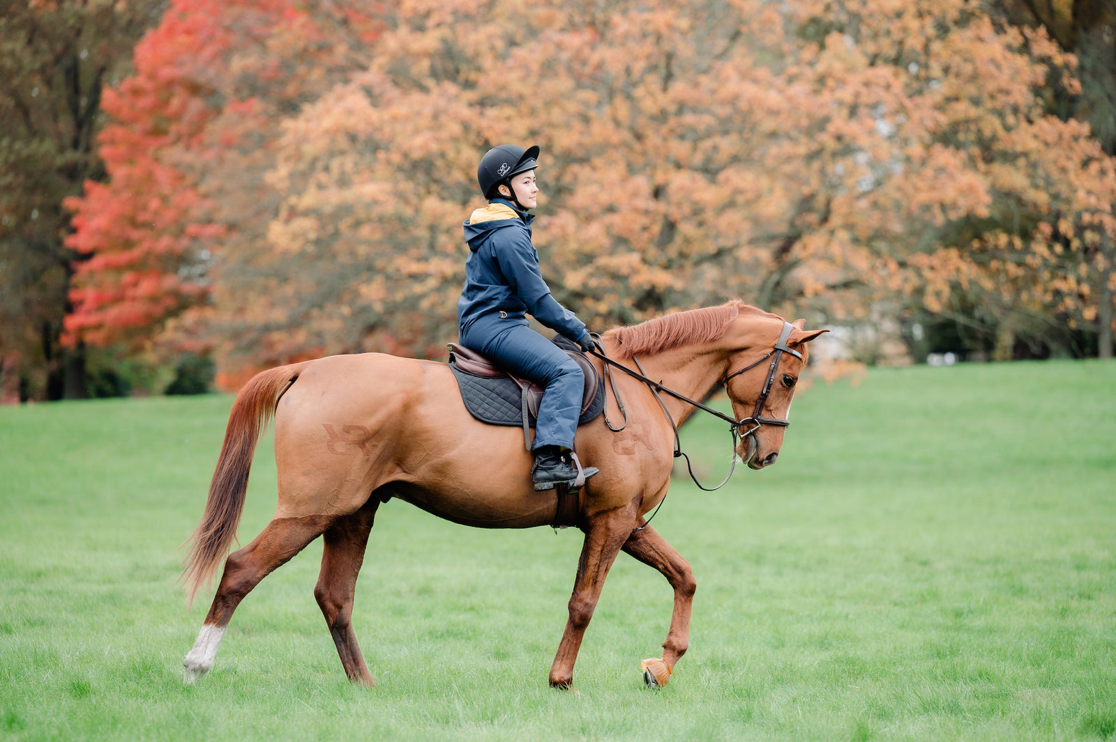 Winter Insulated Jumpsuit 3.0 - Blue Nights