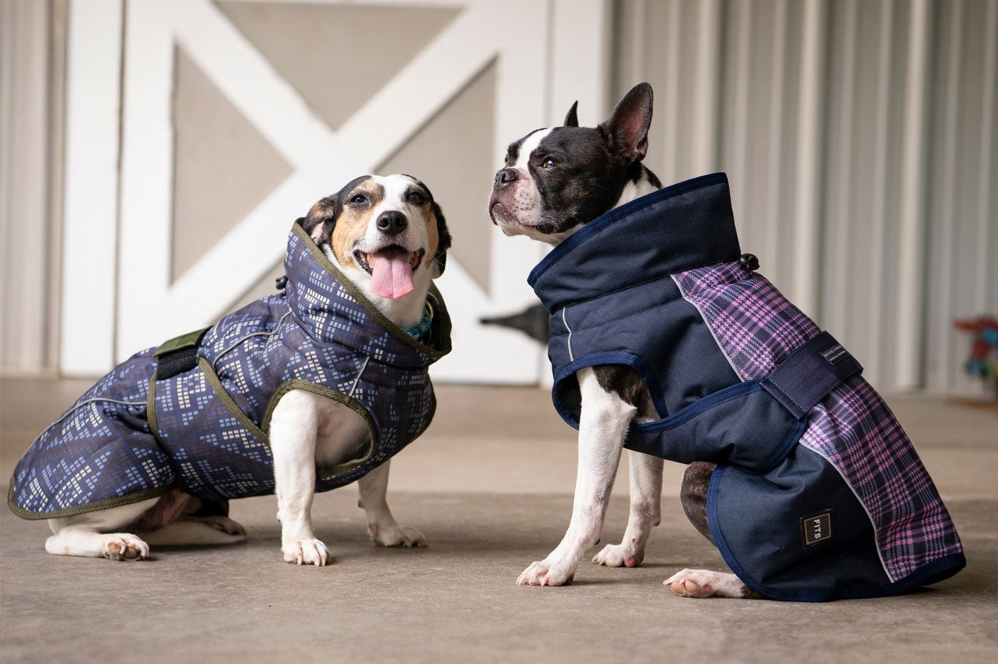 All Weather Dog Coat