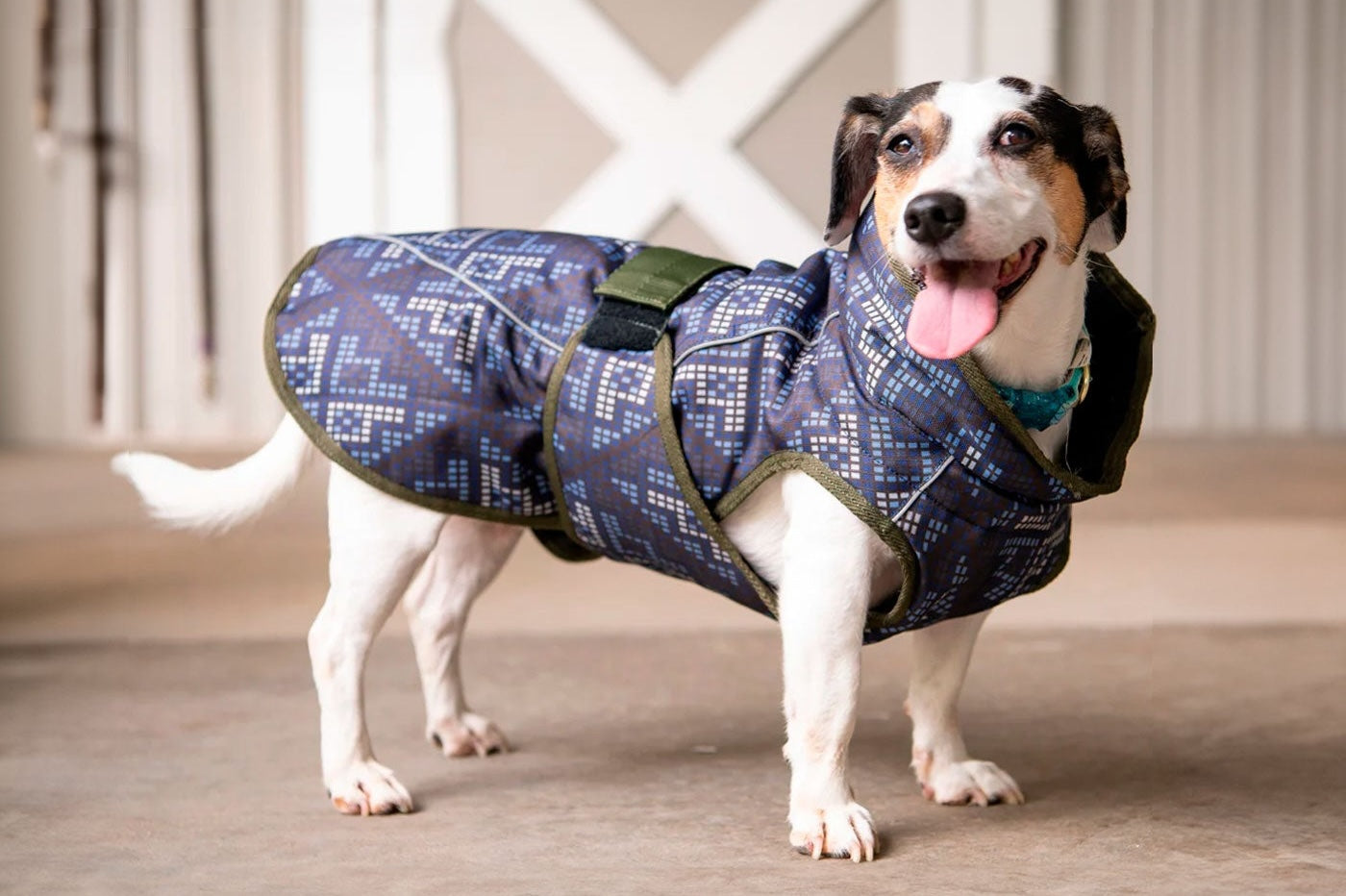 All Weather Dog Coat