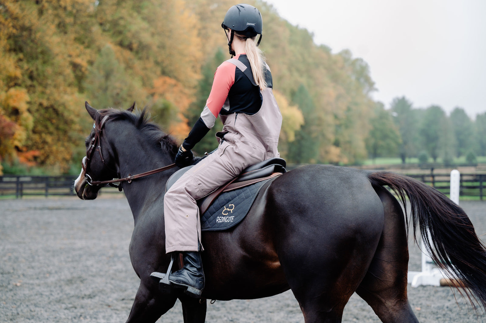 Color Block Long Sleeve - Black/Iron/Apple Butter