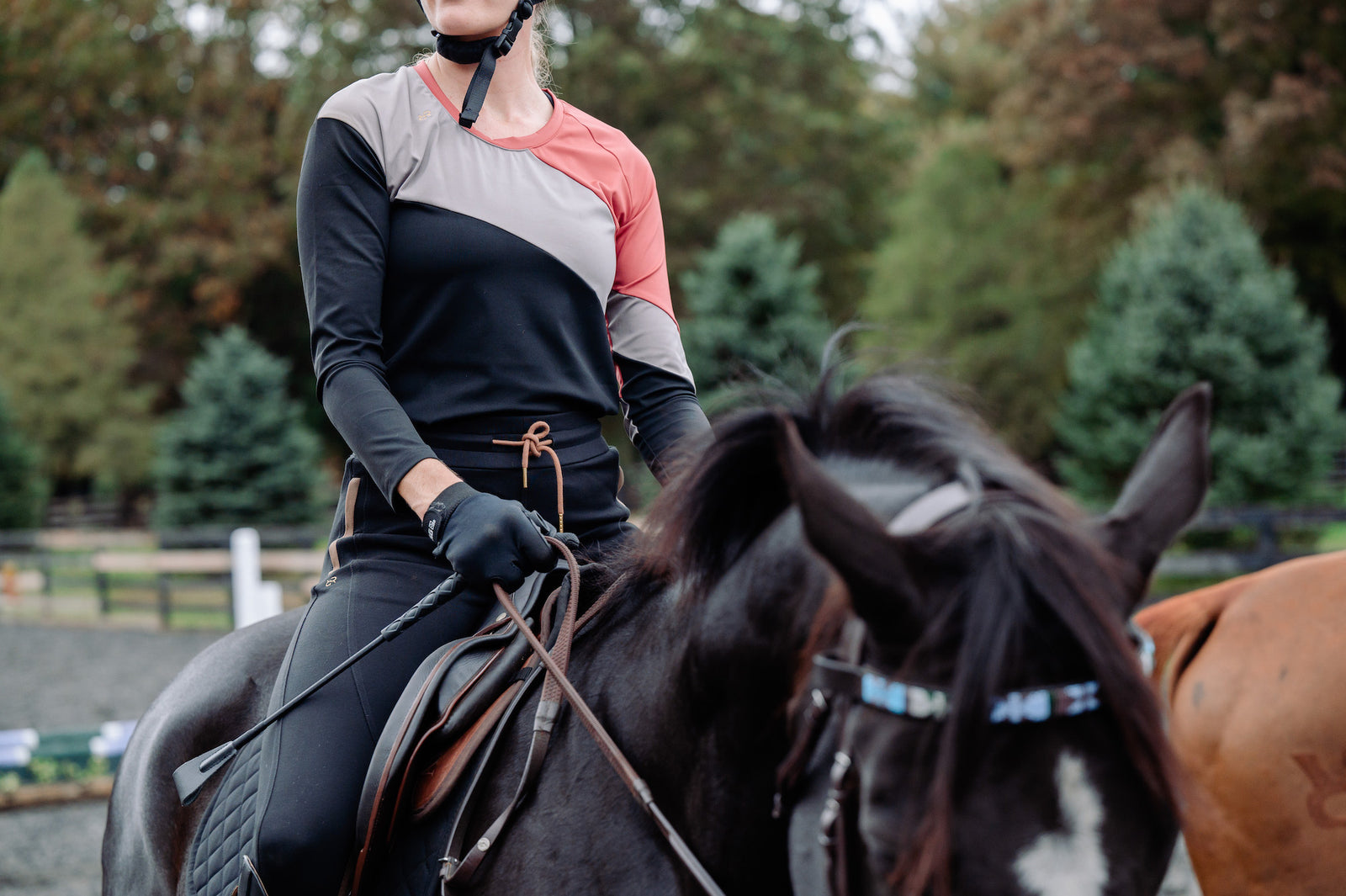 Color Block Long Sleeve - Black/Iron/Apple Butter